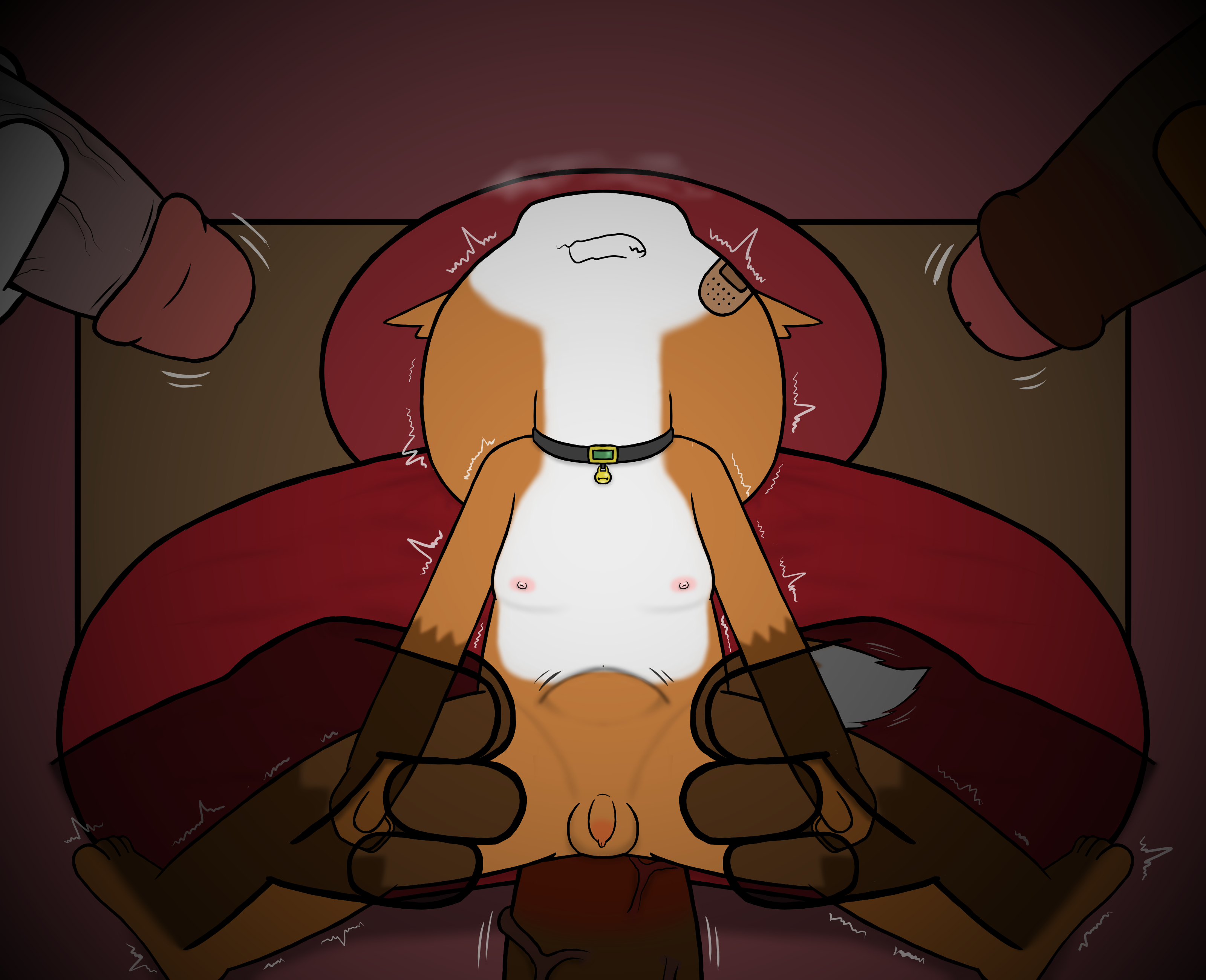 4844963_HanShiroinu_a9.png