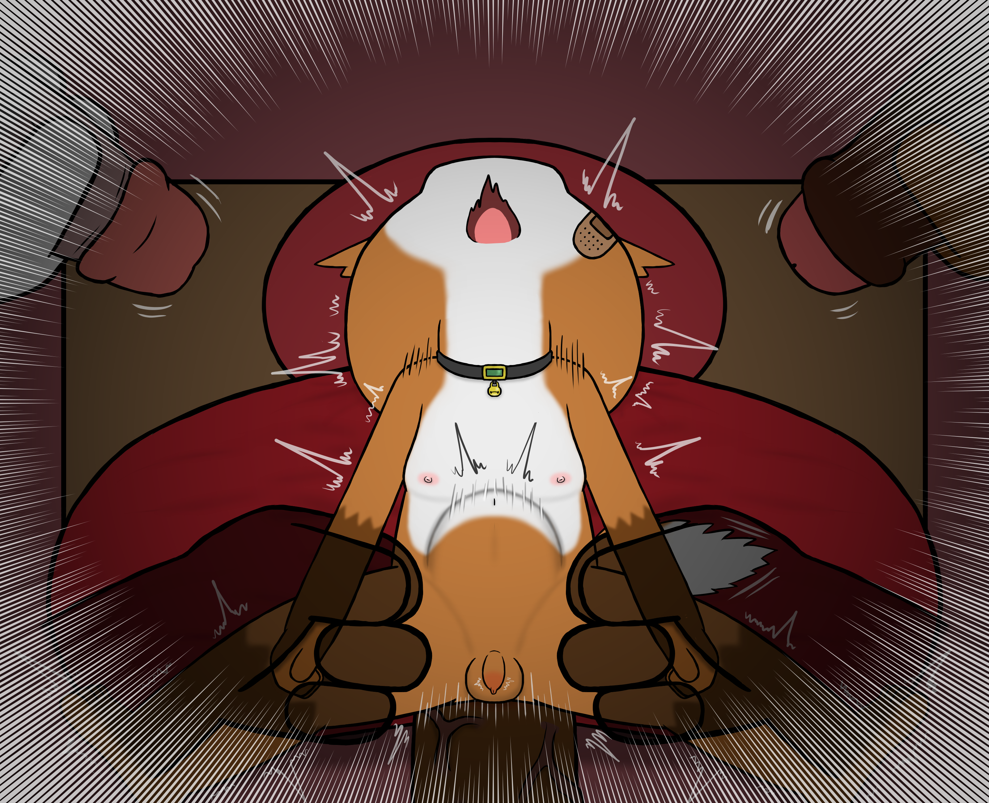 4844964_HanShiroinu_a10.png
