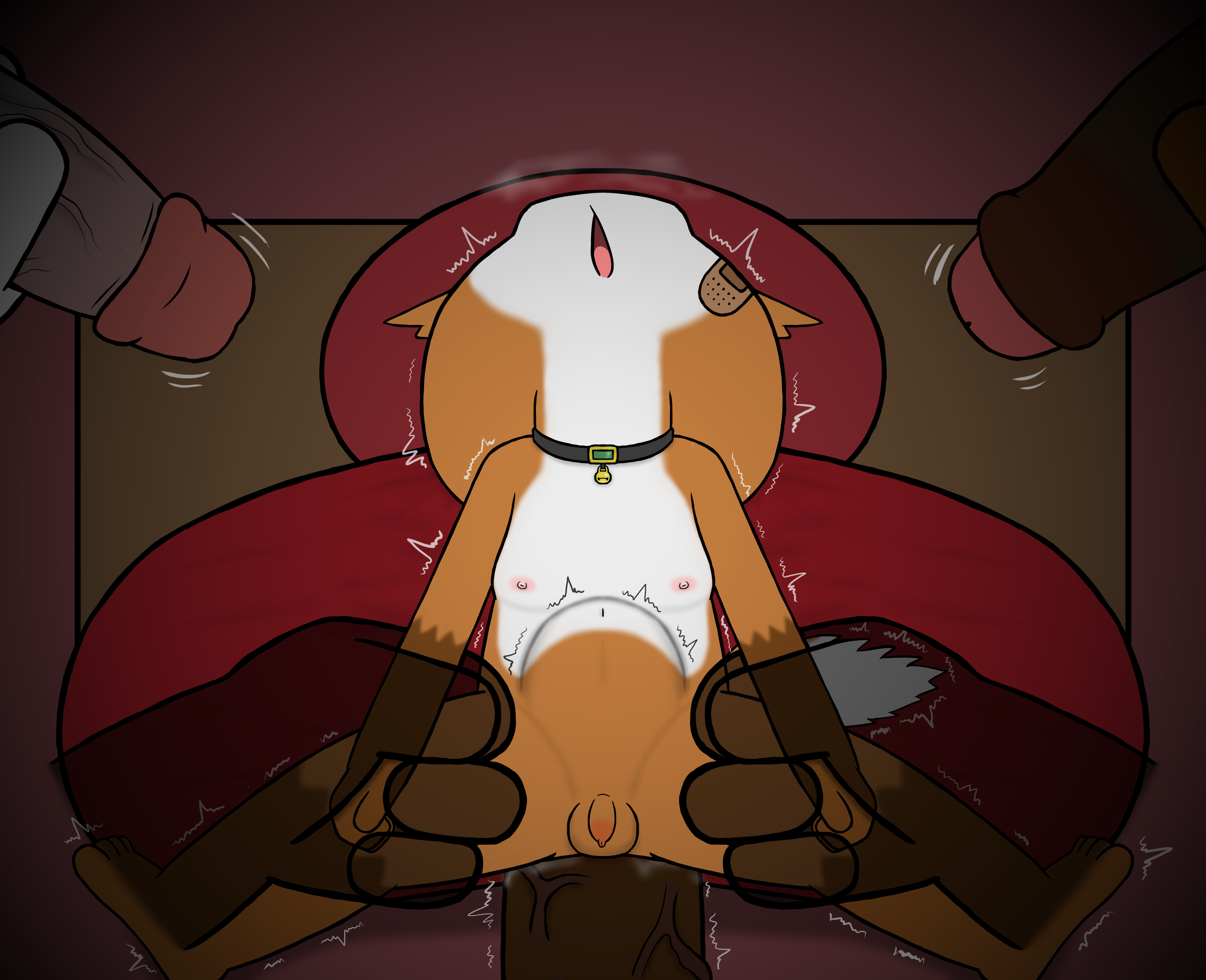 4844965_HanShiroinu_a11.png