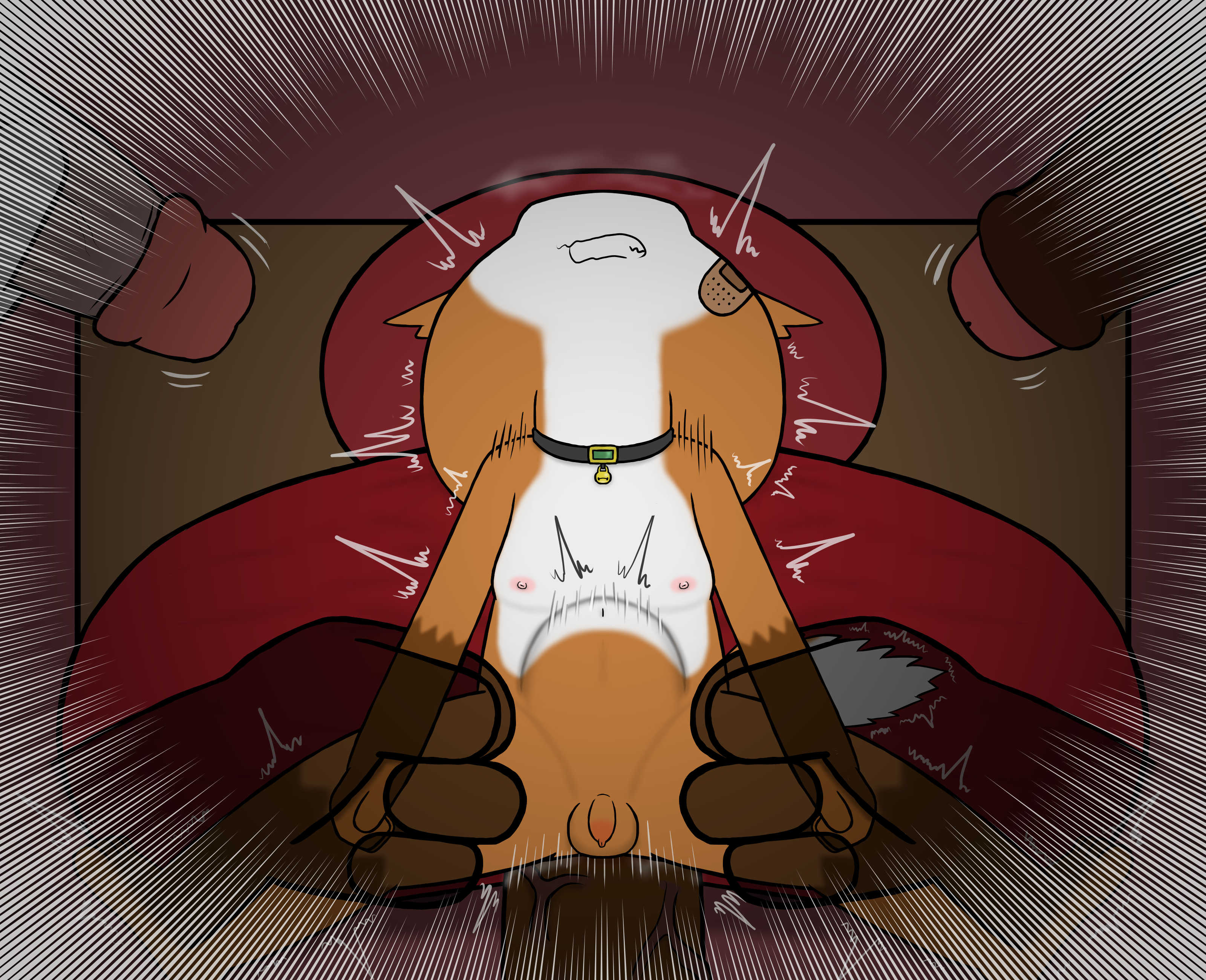 4844967_HanShiroinu_a13.png