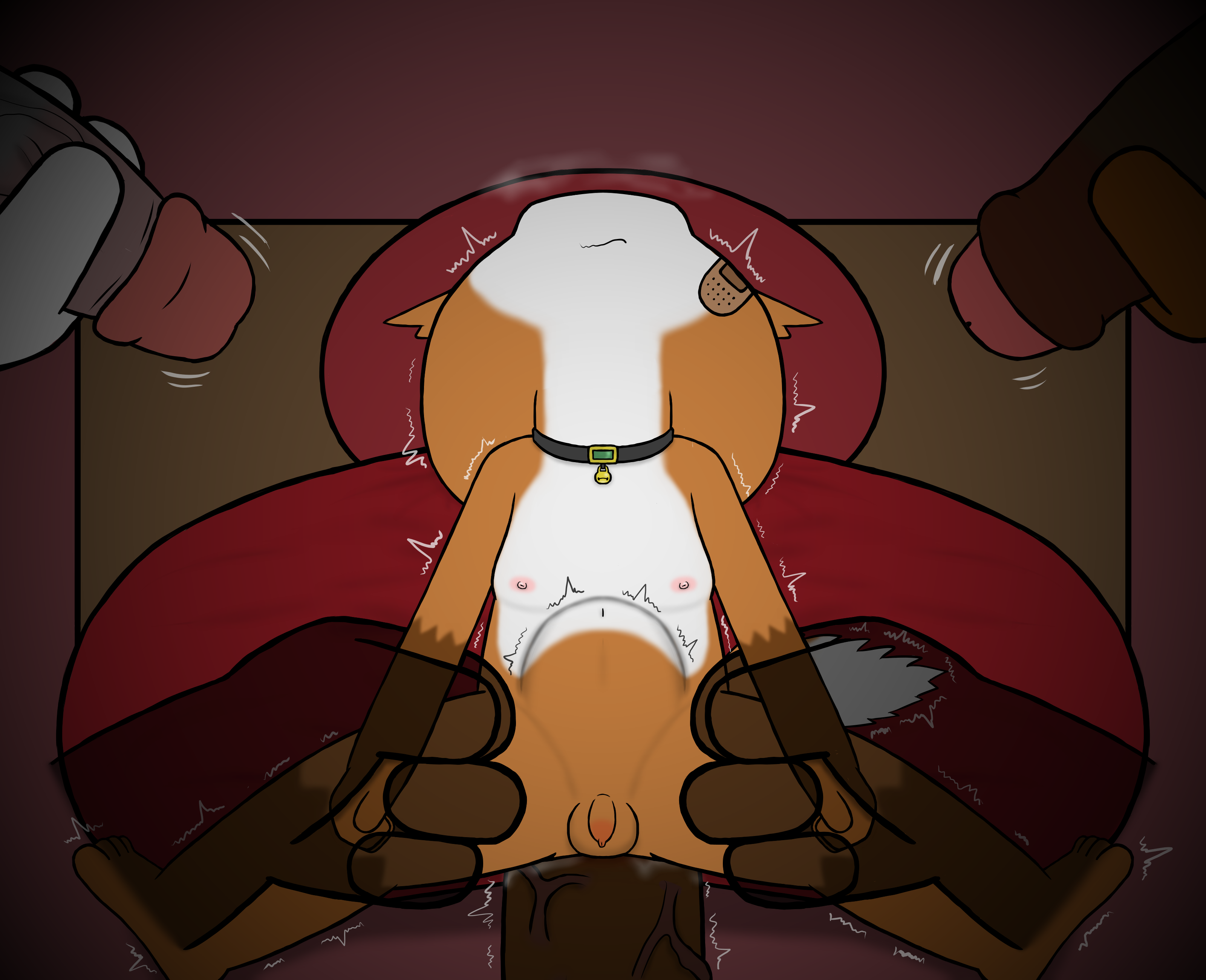 4844968_HanShiroinu_a14.png