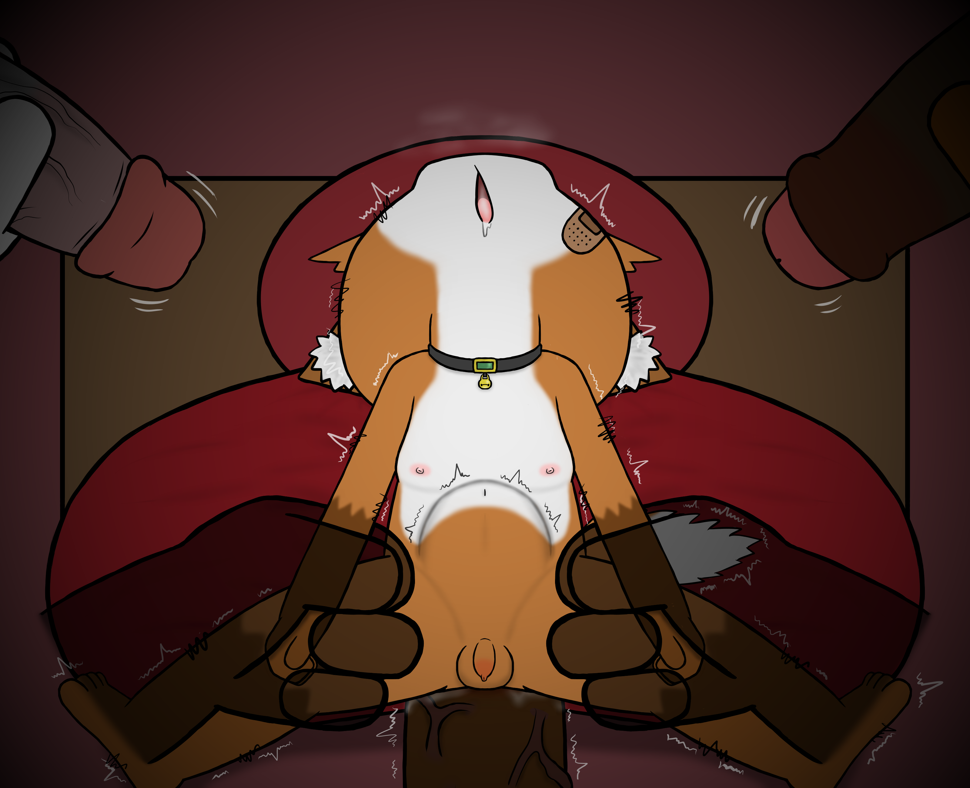 4844975_HanShiroinu_a21.png