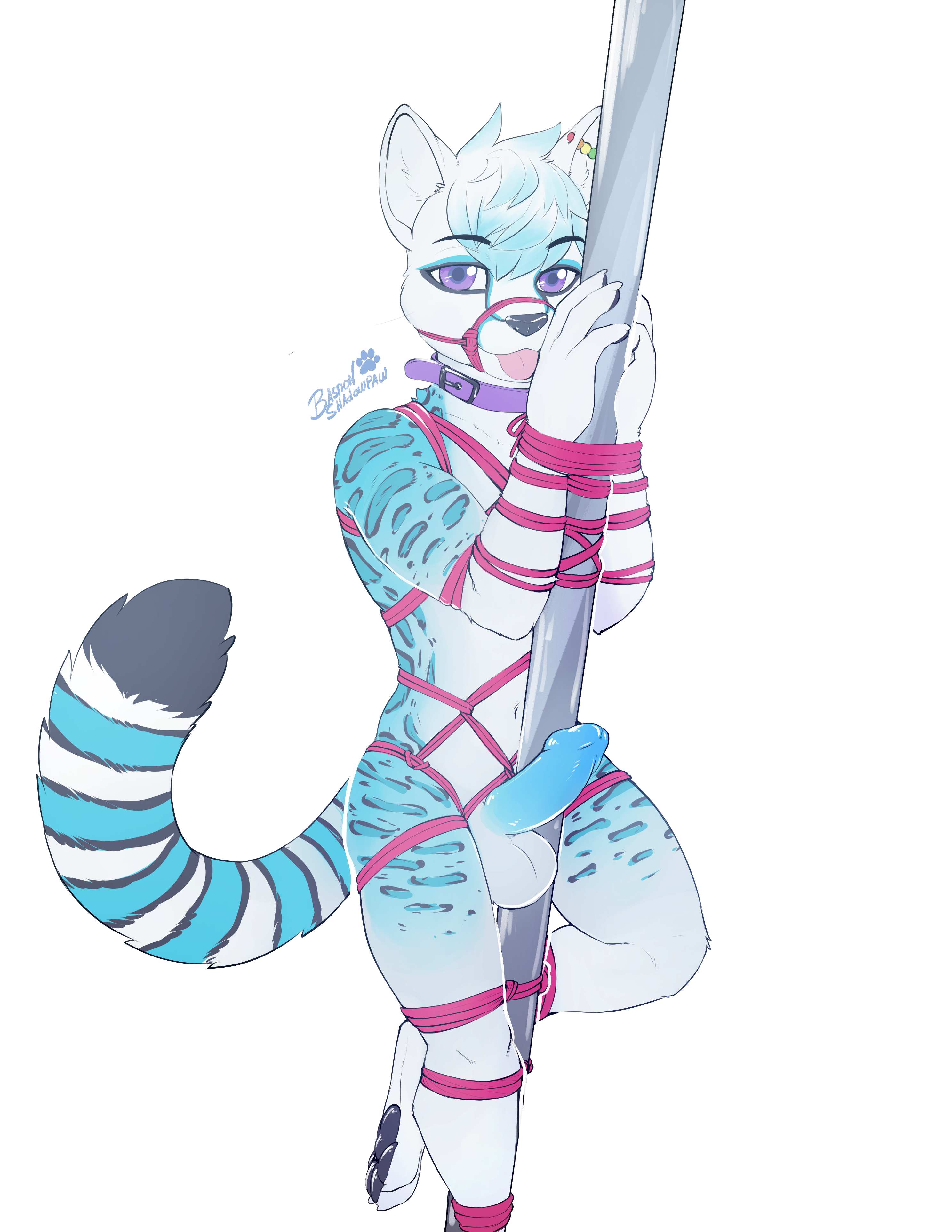 4847953_BastionShadowpaw_sheo_-_bound.png