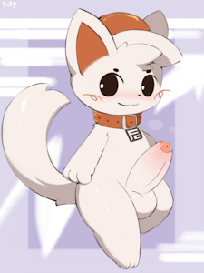 niko-kun
