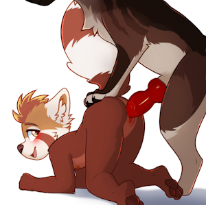 Playing with a doggie