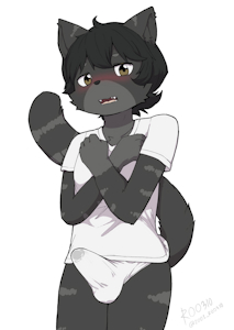 gray cat