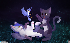 A playful night [Commission]