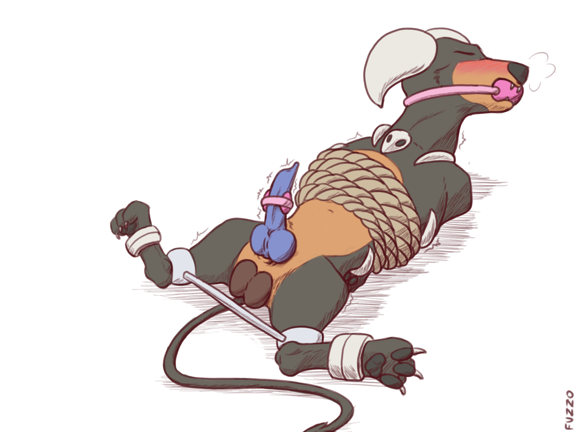 4857117_Fuzzo_2x.png