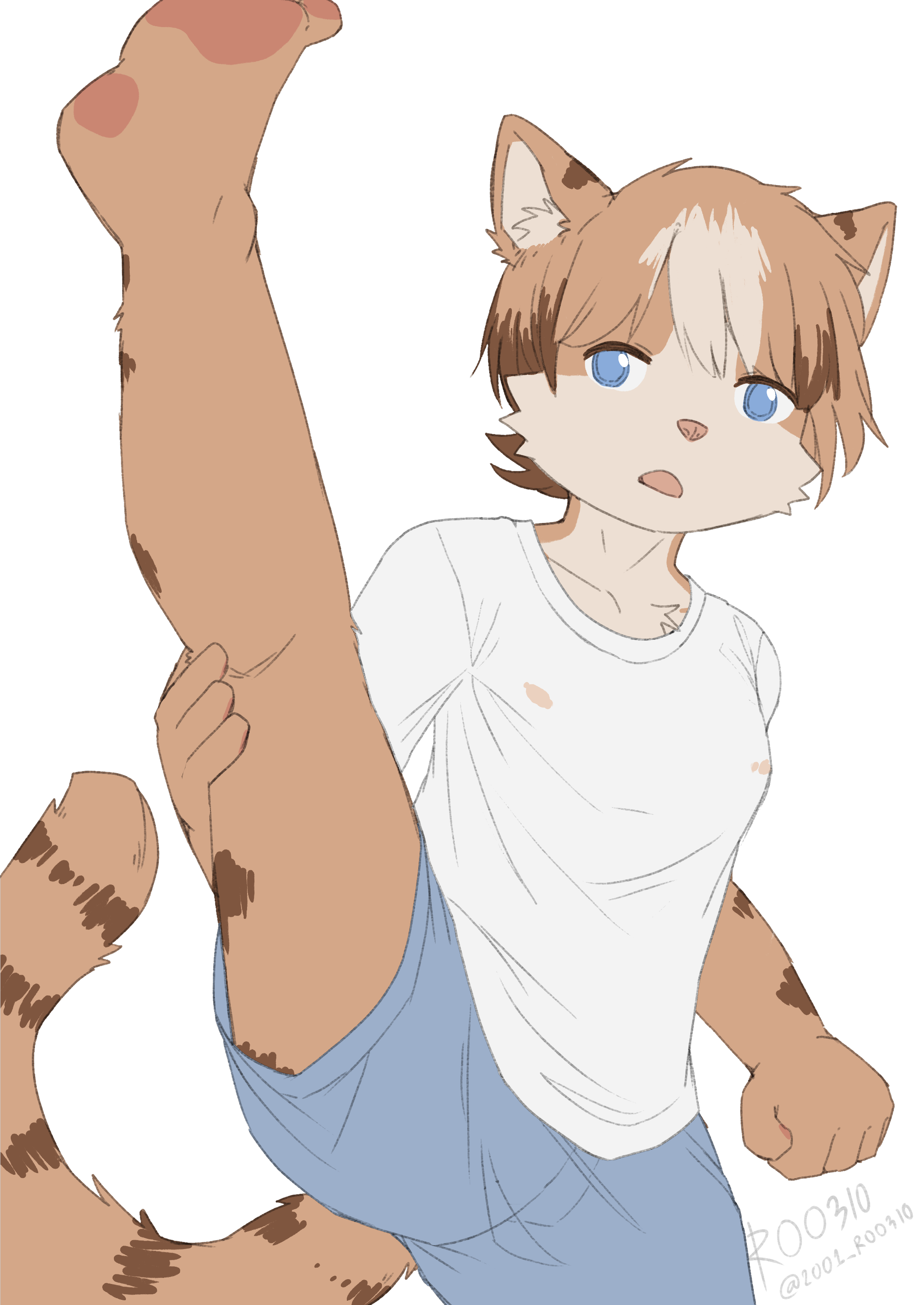 4857629_ROO310_240113_01.png