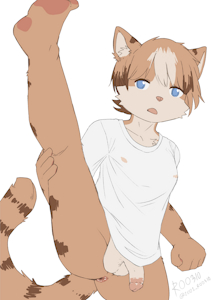 4857561_ROO310_240113_05.png