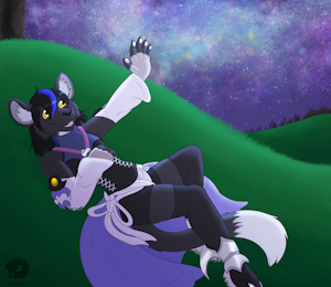Starry Skies and Grassy Fields
