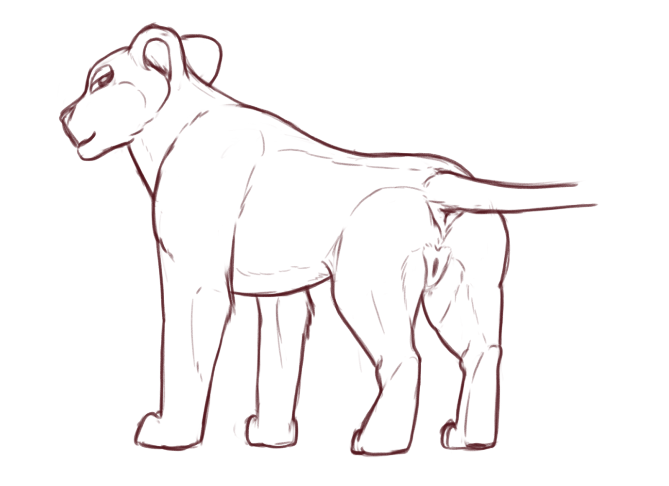 4862148_Fuzzo_lion2.png