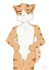 Orange cat and swimming trunks NSFW
