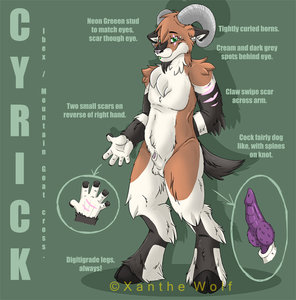 Cyrick - Ref Sheet