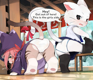 Onsen cats
