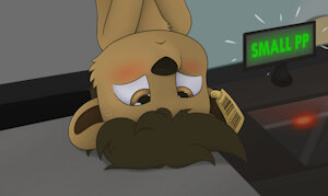 QSC-YCH-018