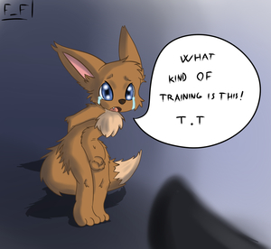 Eevee training