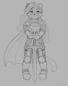 The Knight