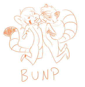A Bunp in the Night