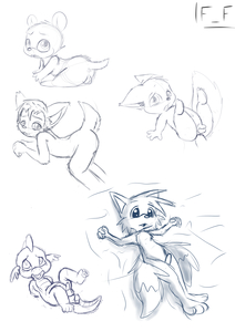 Rejected sketch compilation