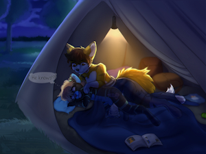In the tent