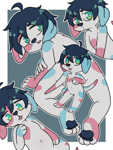 Dalmatian Adopt