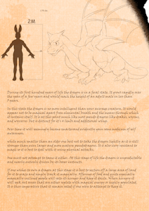 Dragons (2/7)