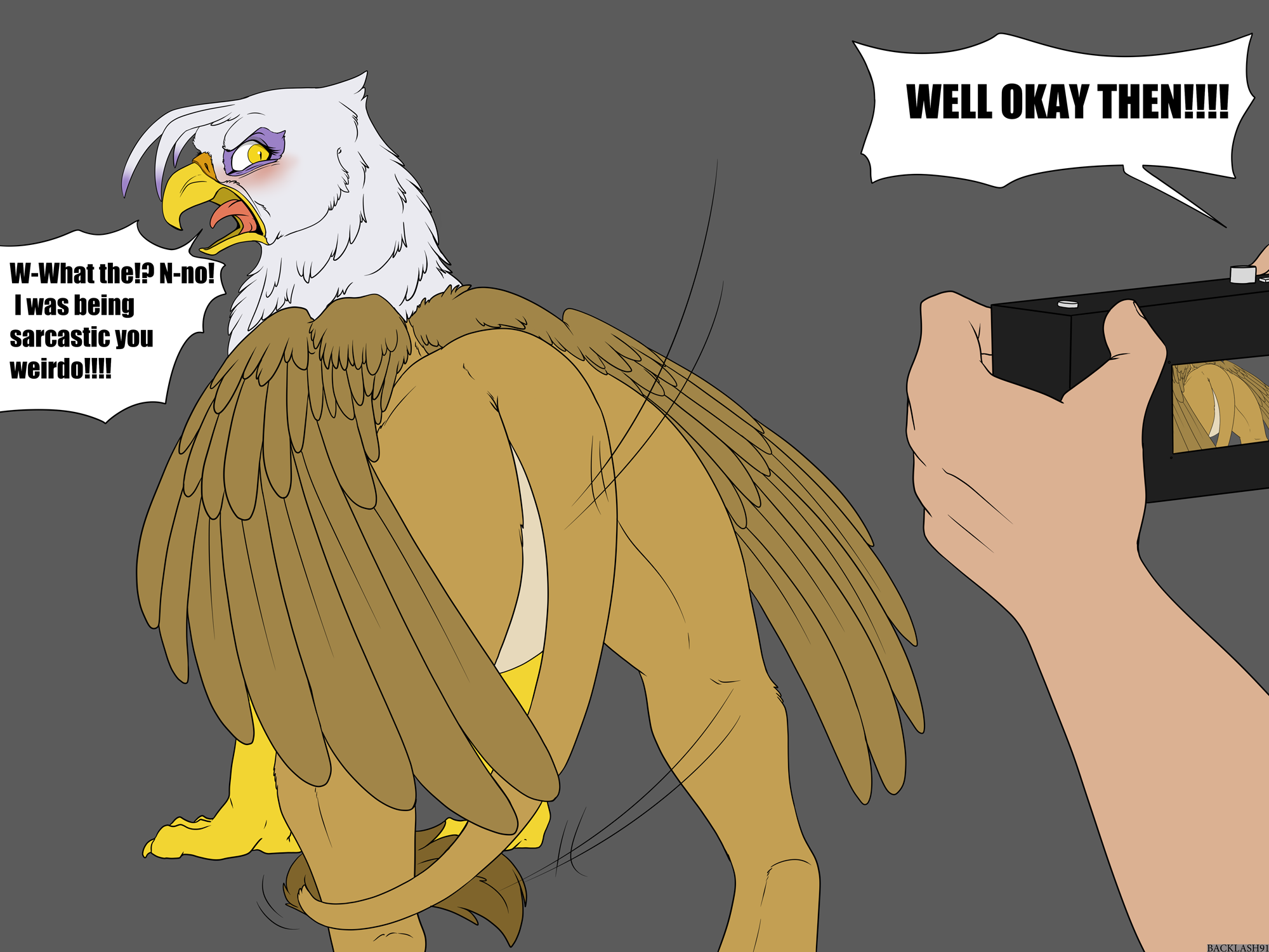 4893916_Backlash91_the_camera_2.png