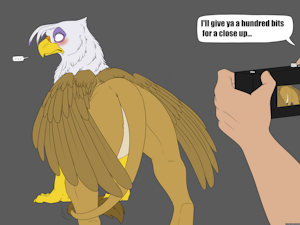 4893917_Backlash91_the_camera_3.png
