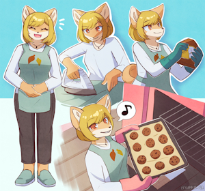 [C] NovaXP1