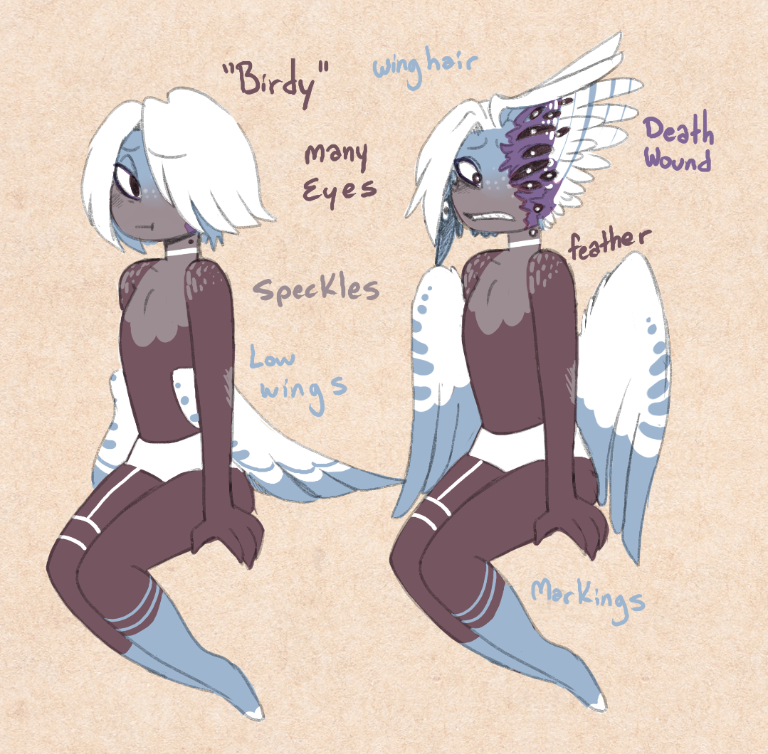 4895711_ByJoveWhatASpend_birdy.png
