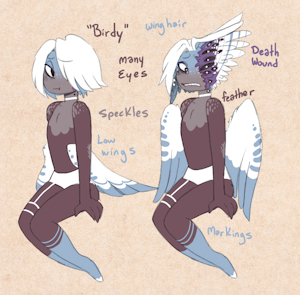 4895711_ByJoveWhatASpend_birdy.png