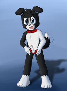 Dog With A Bone