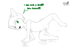 Not a dog!!!