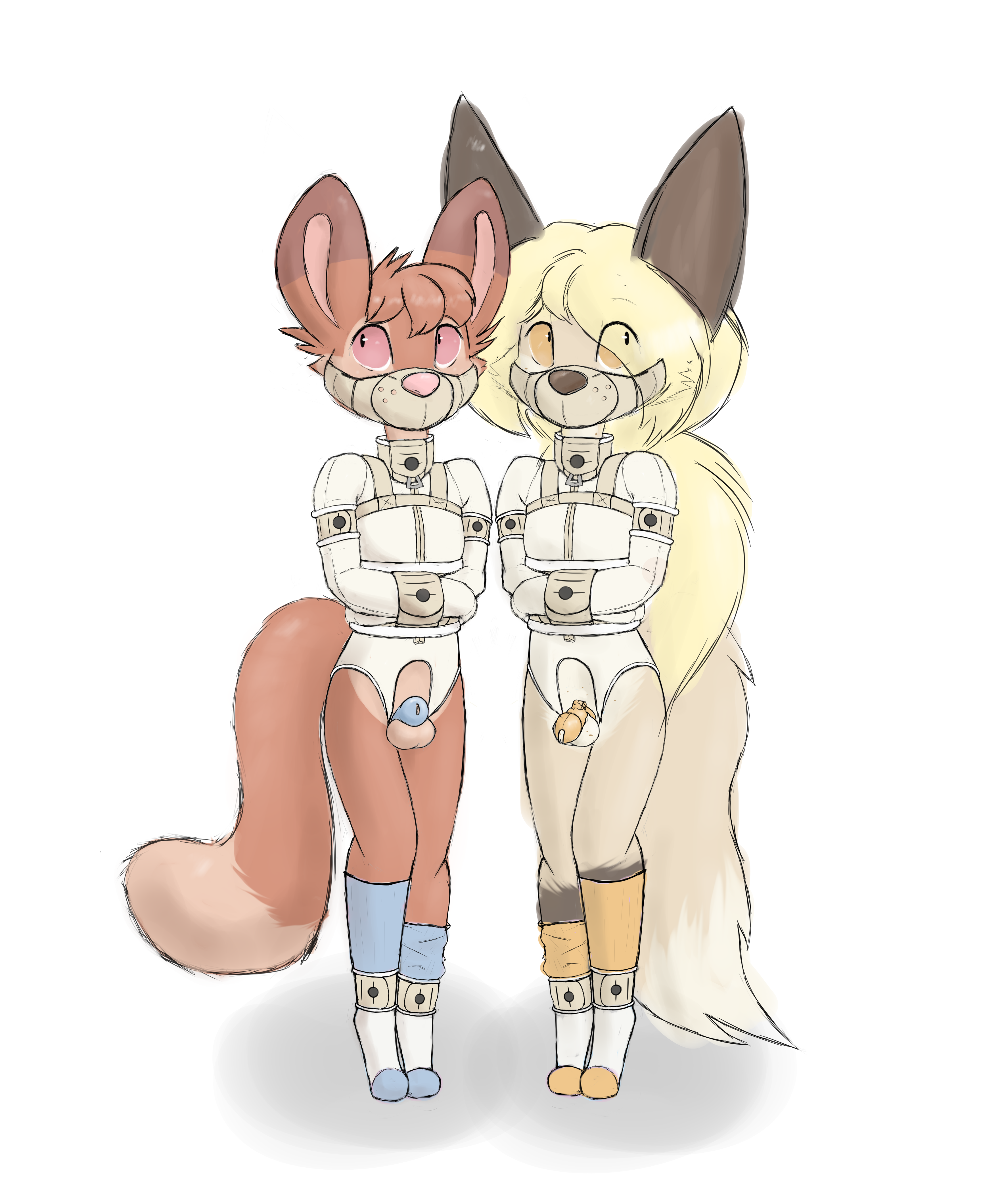 4909061_Smolfoks_skid2.png