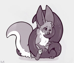 Timmy Fox