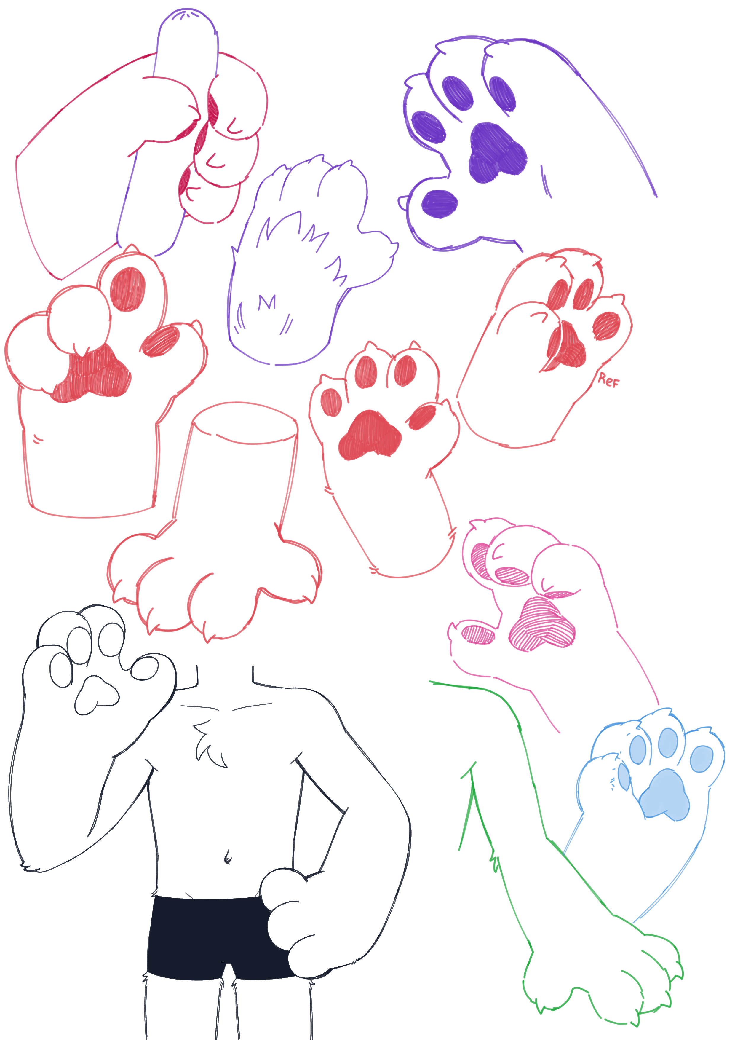 4923016_foxyfaxer_paws.png