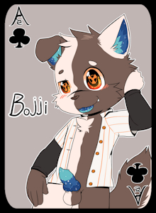 Deck of Furs/Friends IV NSFW Variants!