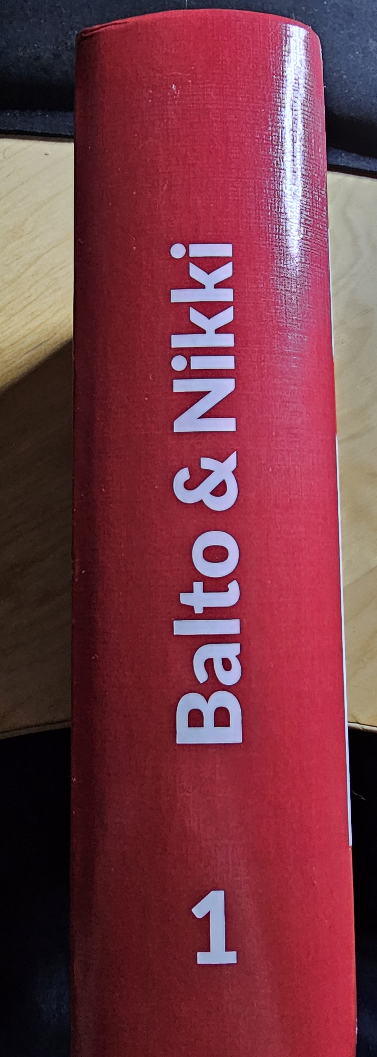 4925341_Balto_20240227_213641.jpg