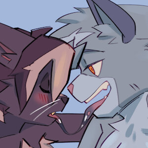 2 cats :3c