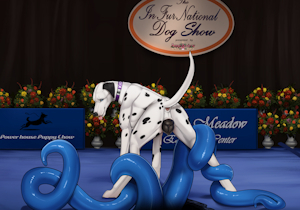 DOG SHOW: SCP- KIO The Dalmatian