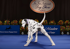 4937545_Backlash91_backlash_dogshow_commission.png