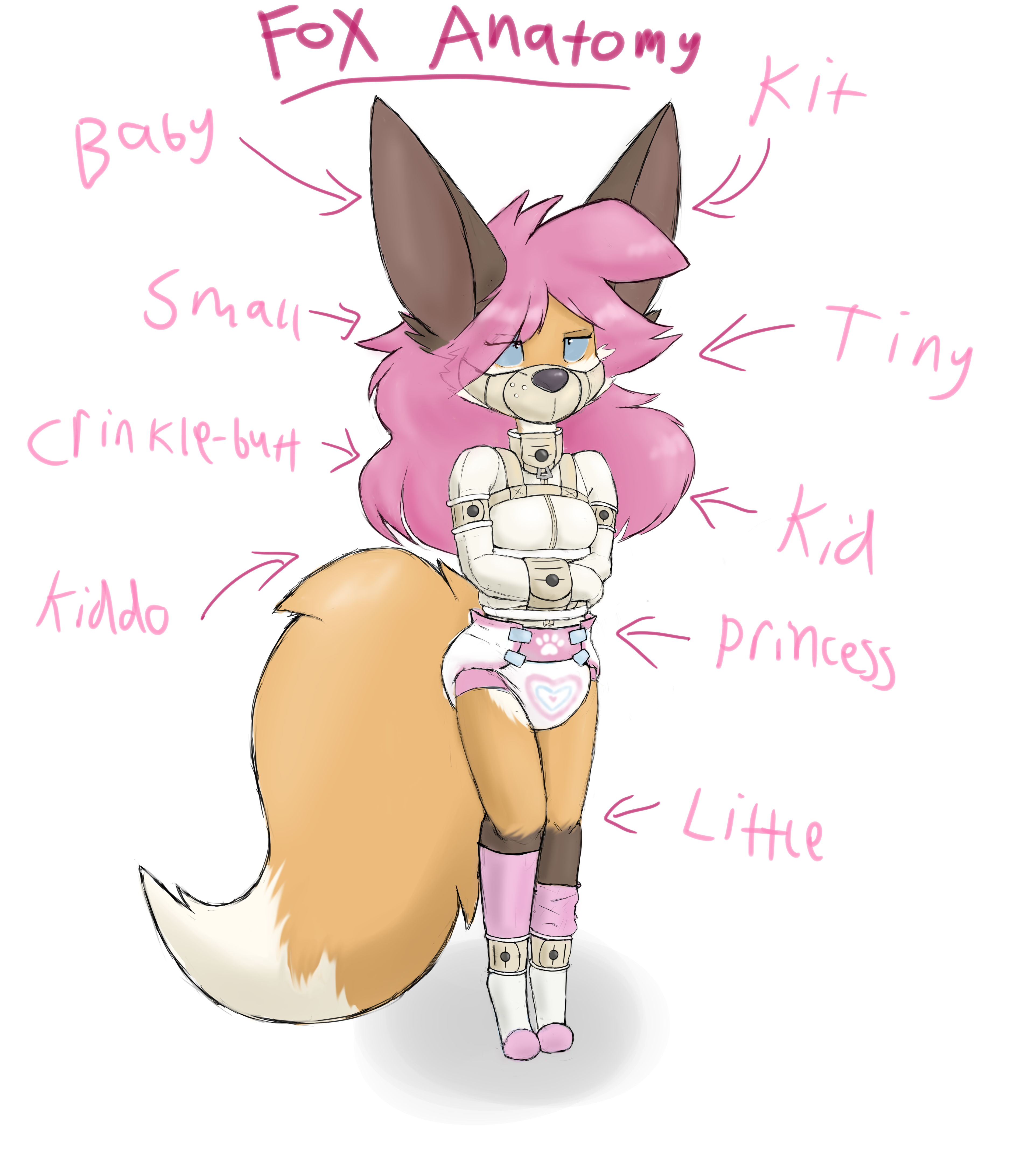 4938337_Smolfoks_jamesanatomy2.png