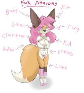 4938340_Smolfoks_jamesanatomy1.png