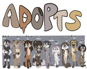 *PREORDERS AVAILABLE*_Sweet strays