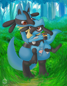 lucario and riolu 