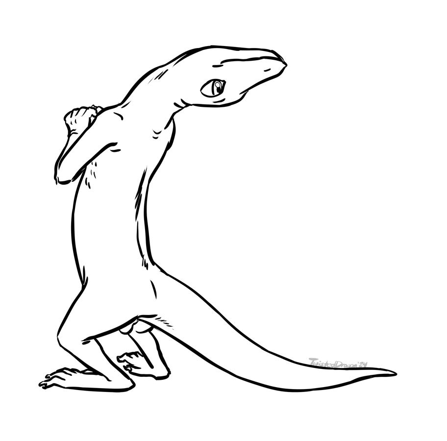 4940283_TwistedDragon_anoleboy.png