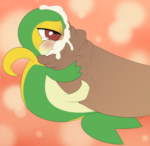 Foreskin x Snivy