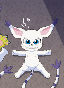 Gatomon X Kari Set