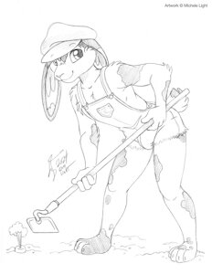 Country Bunny